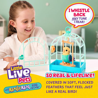 Little Live Pets My Really Real Bird & Cage - Indie, interactieve, realistische huisdiervogel, 20+ geluiden en reacties (25cm/9,8in kooi, 10,9cm/4,3in vogel), opnamen en herhalingen of fluitjes terug