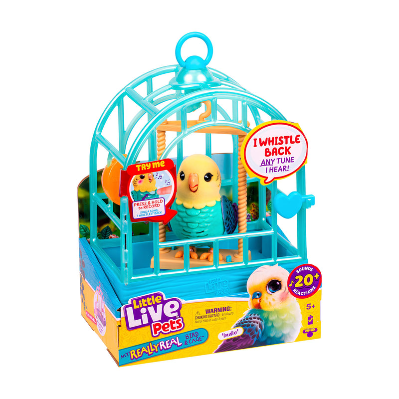 Little Live Pets My Really Real Bird & Cage - Indie, interactieve, realistische huisdiervogel, 20+ geluiden en reacties (25cm/9,8in kooi, 10,9cm/4,3in vogel), opnamen en herhalingen of fluitjes terug