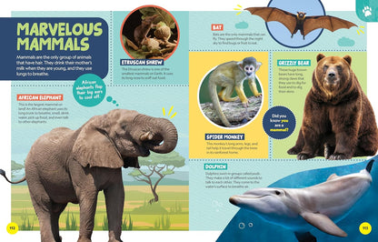 National Geographic Little Kids First Encyclopedia of Almost Everything (National Geographic Little Kids First Encyclopedias