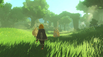 Hyrule Warriors: Age of Imprisonment Standard