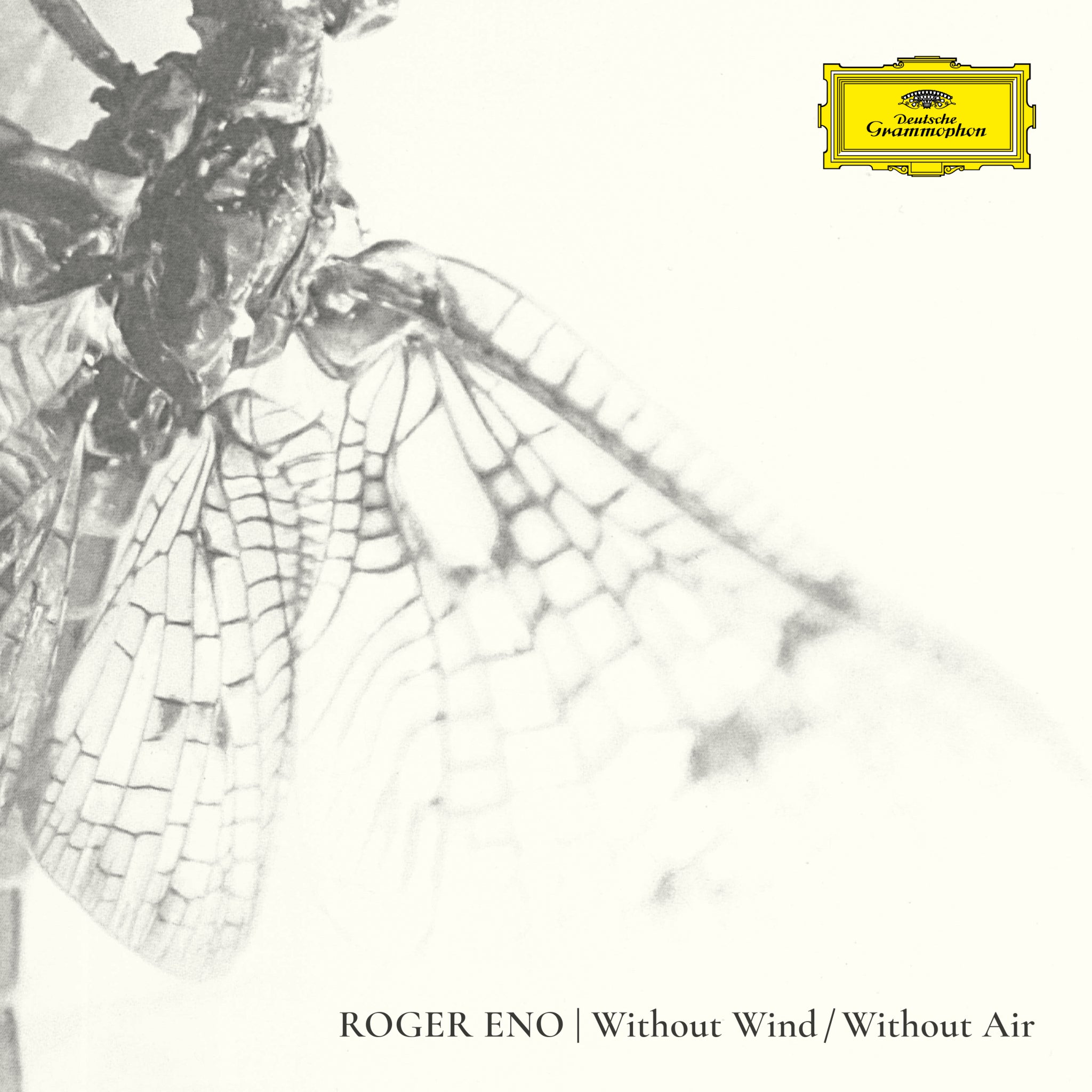 Roger Eno: Without Wind/Without Air