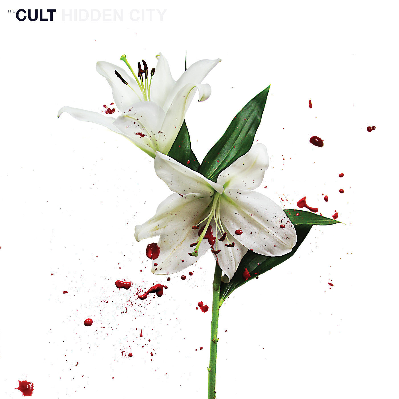 Hidden City (CV 45 Audiophile Edition)
