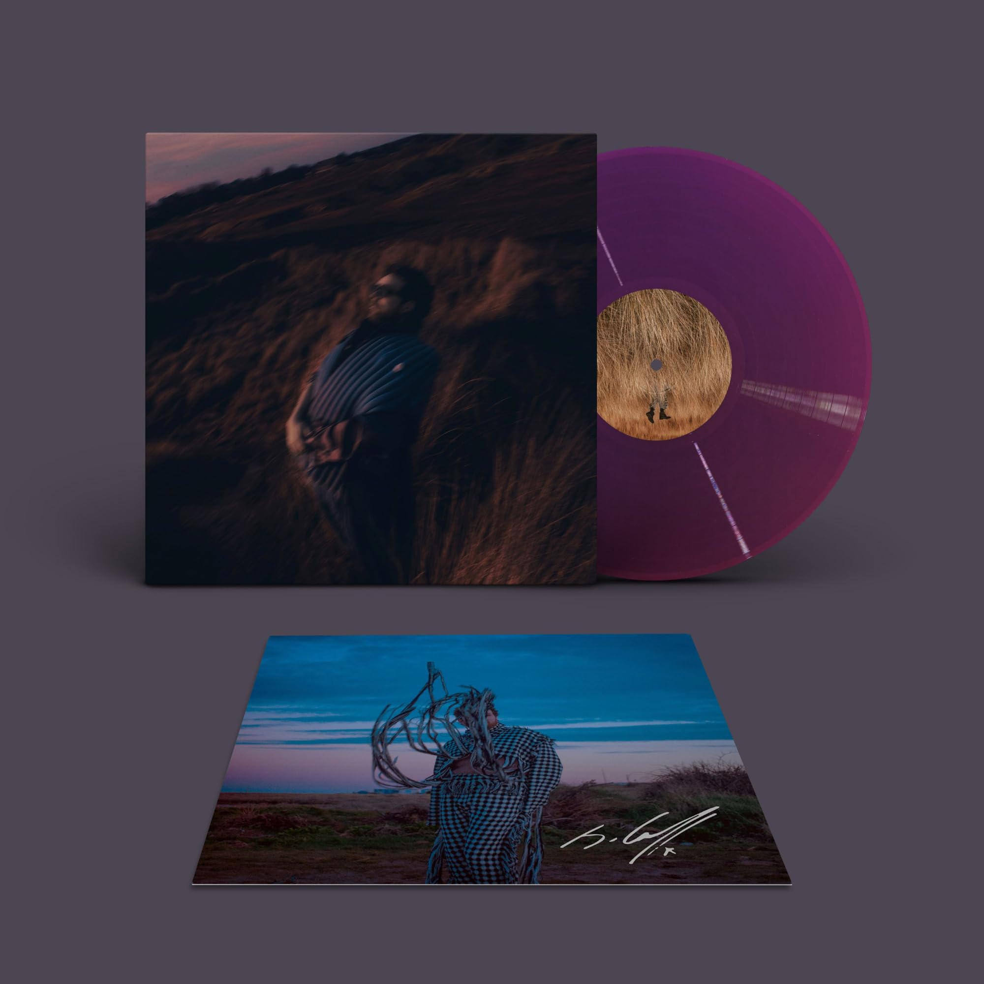 Pillars (Signed Amazon Exclusive artwork - Trans Purple LP