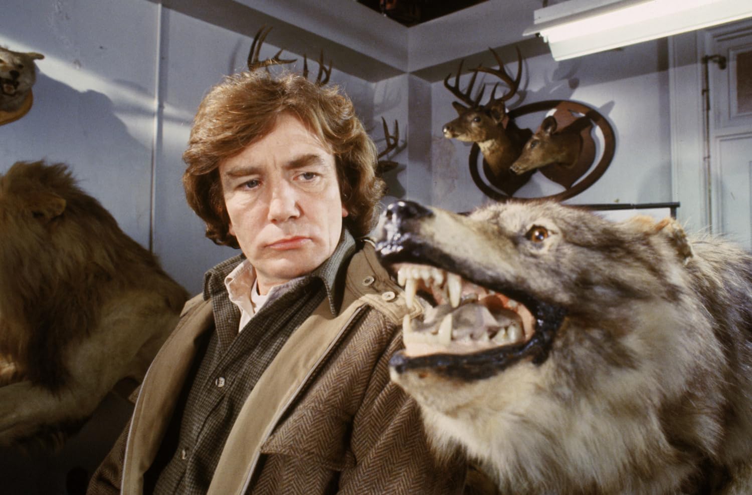 Wolfen (Mediabook B, Blu-ray+DVD