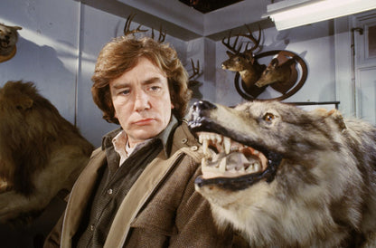 Wolfen (Mediabook B, Blu-ray+DVD