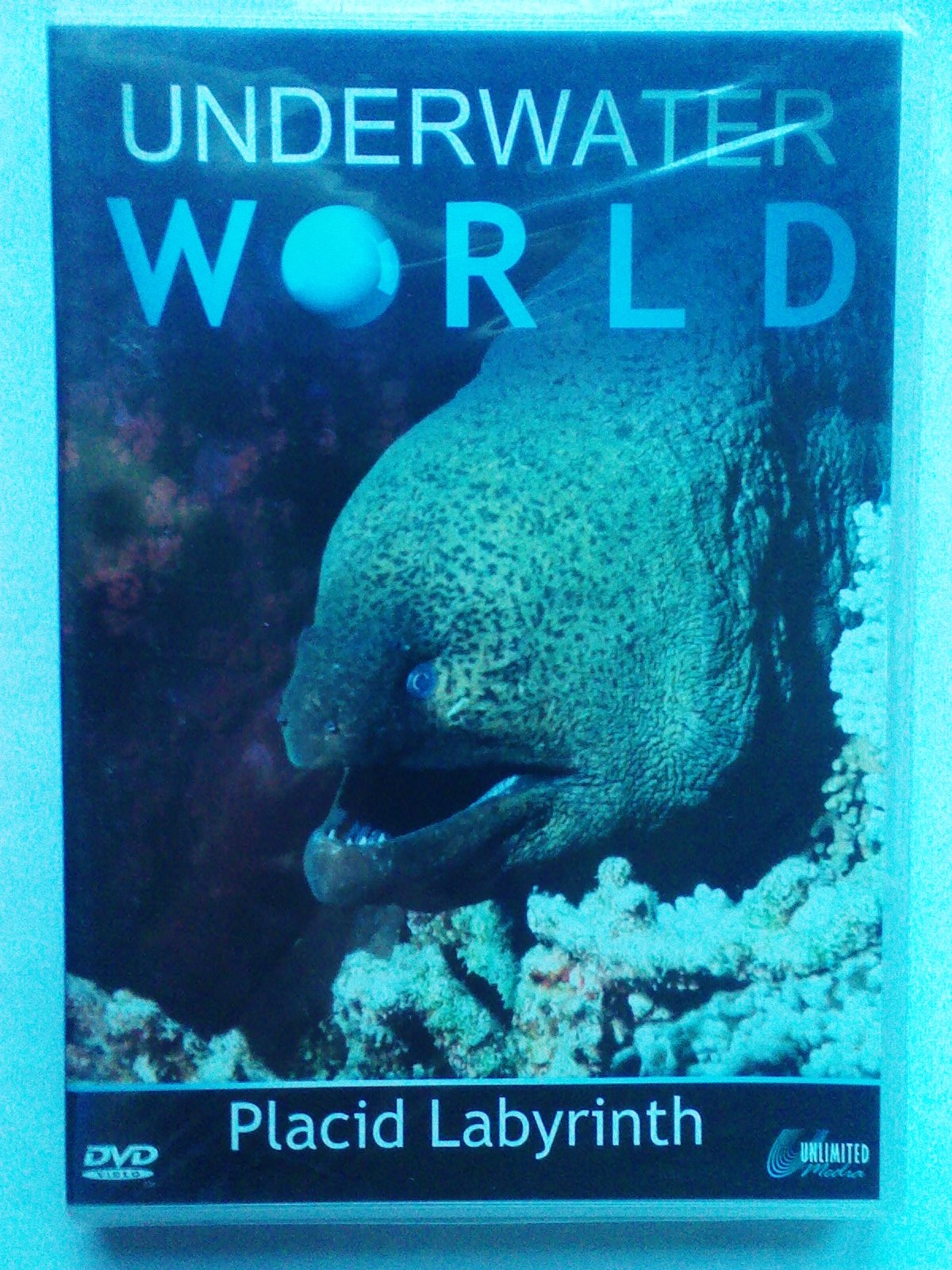 Underwater World: Placid Labyrinth