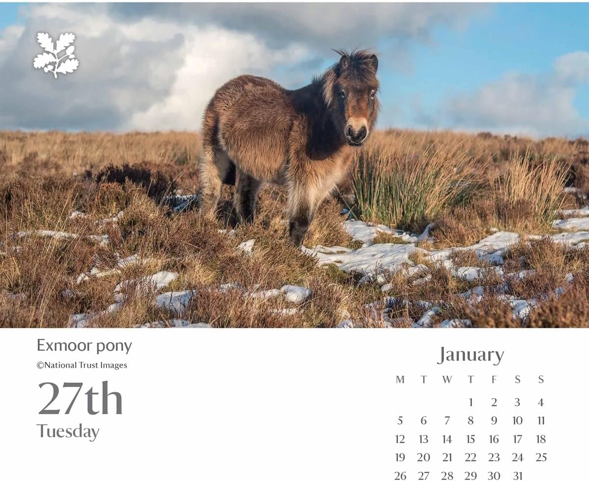 Carousel Worldwide, National Trust Escape 2026 Easel Desk Calendar