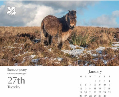 Carousel Worldwide, National Trust Escape 2026 Easel Desk Calendar