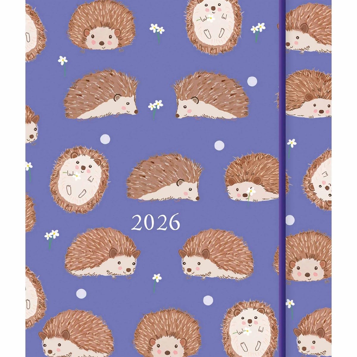 Carousel Worldwide, Hedgehog Pattern 2026 Pocket Diary Planner