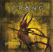 Scorpio Rising