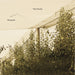 Disquiet