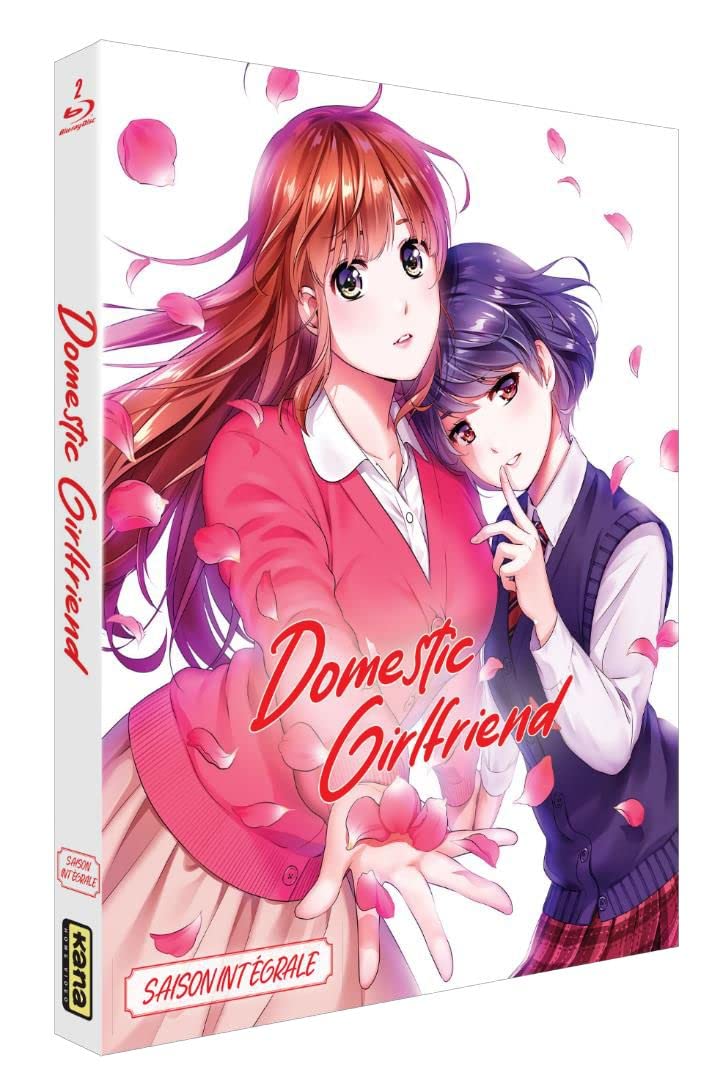 Domestic Girlfriend
