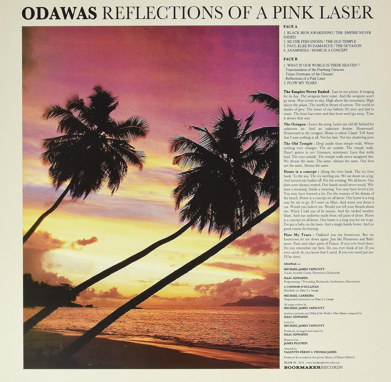 Reflections of a Pink Laser
