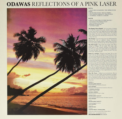 Reflections of a Pink Laser