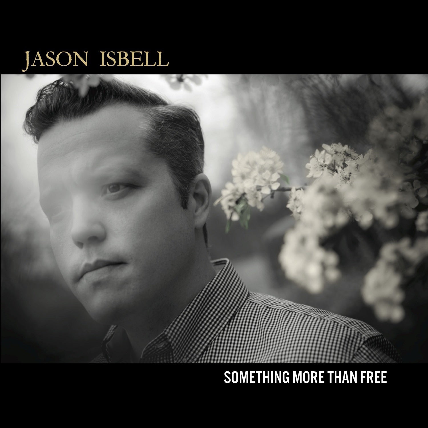 Something More Than Free (10 Year Anniversary Edition)