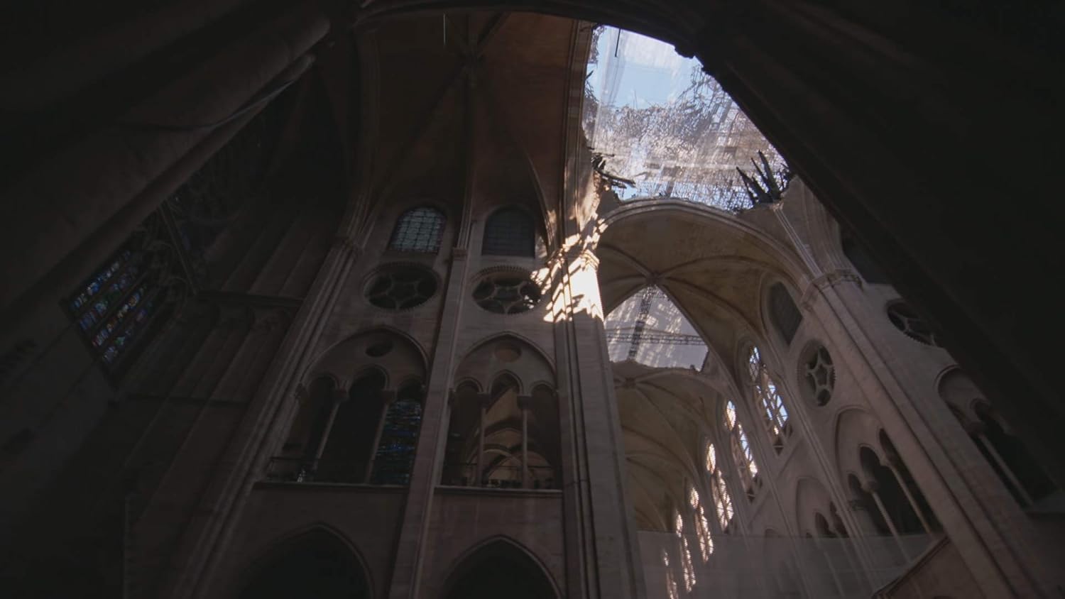 Des racines et des ailes : notre-dame de paris