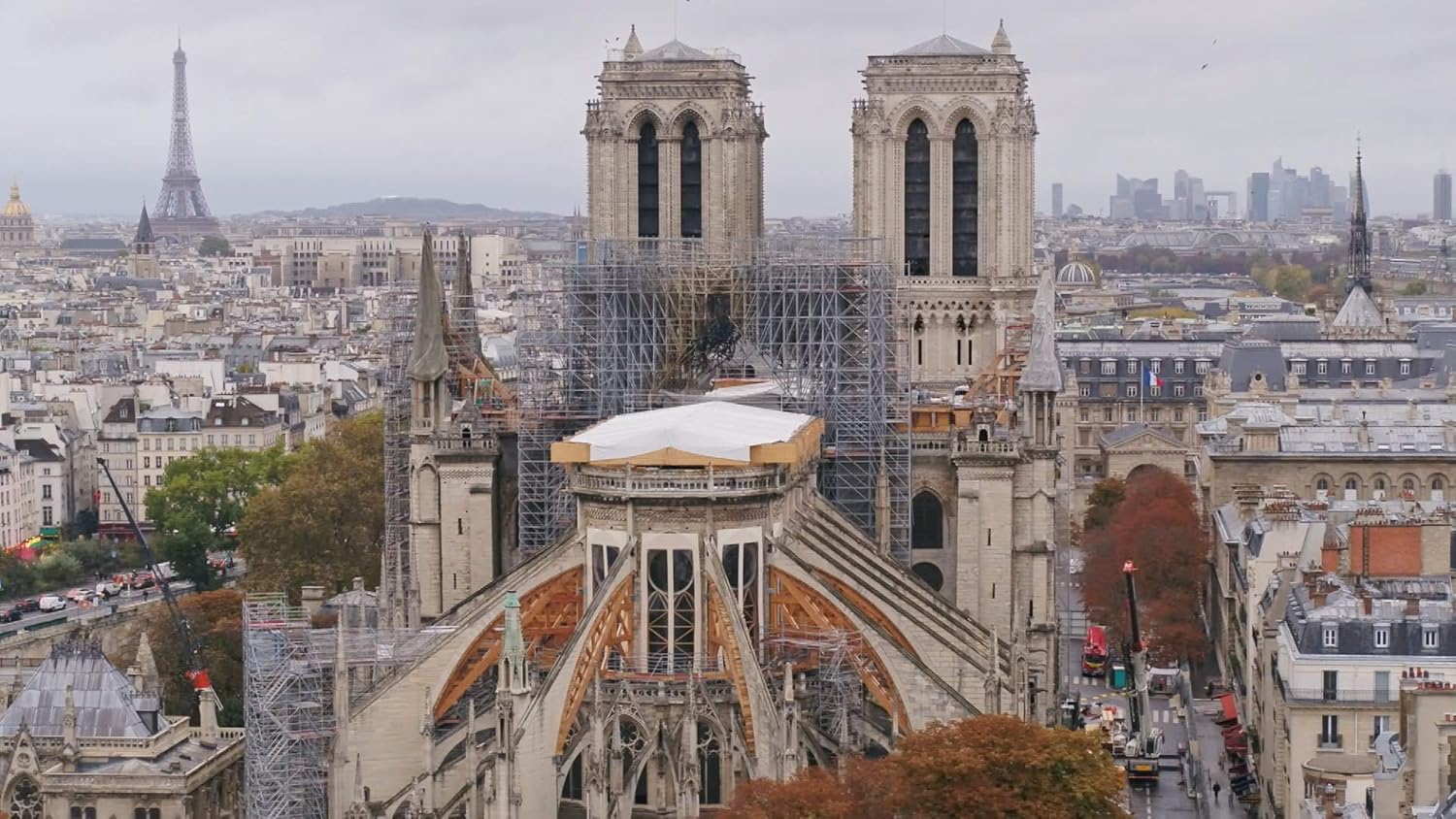 Des racines et des ailes : notre-dame de paris