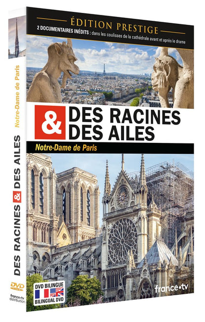 Des racines et des ailes : notre-dame de paris
