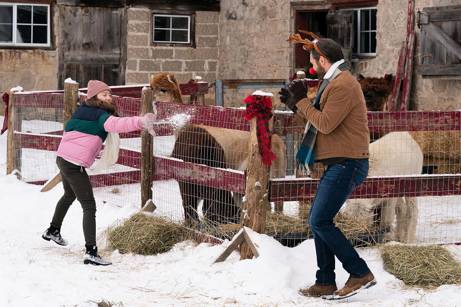 Weihnachten auf der Alpakafarm