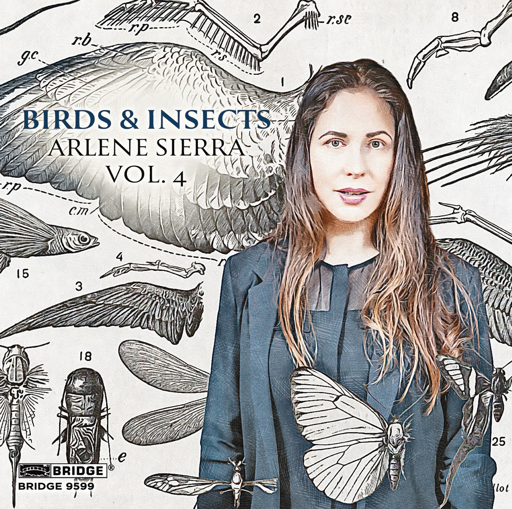 Arlene Sierra: Birds & Insects - Volume 4