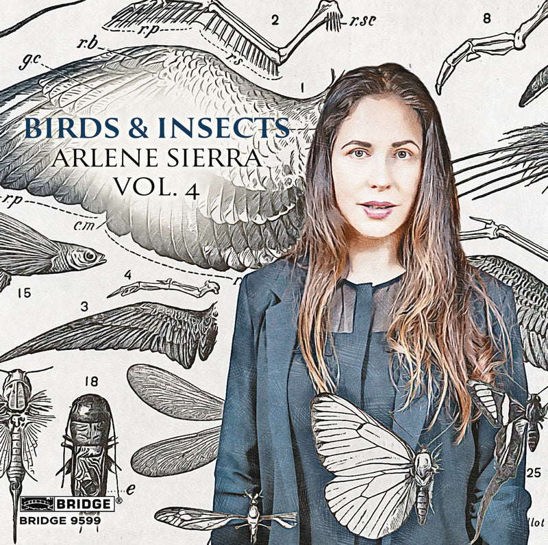 Arlene Sierra: Birds & Insects - Volume 4