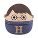 Squishmallows - 10In Harry Potter In Sweater