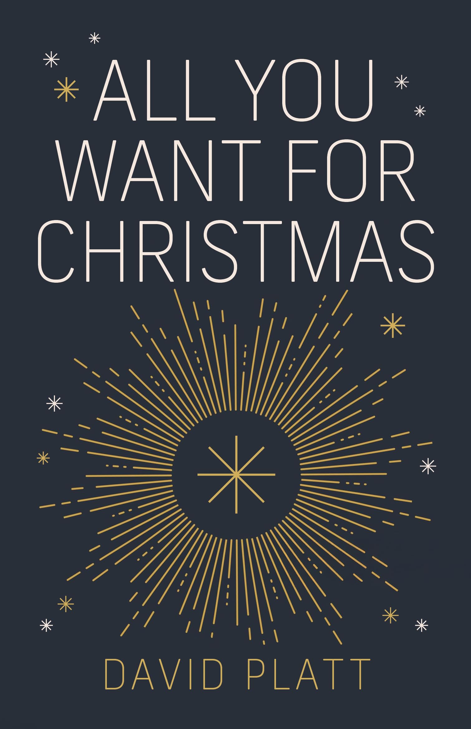 All You Want For Christmas :