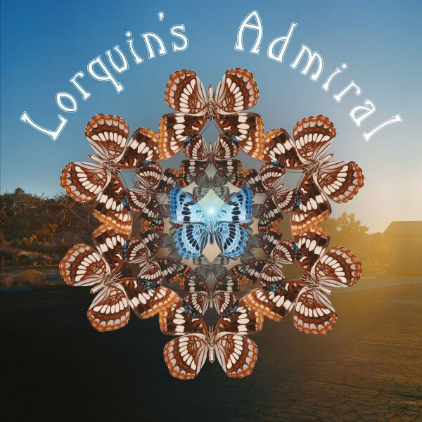 Lorquin's Admiral