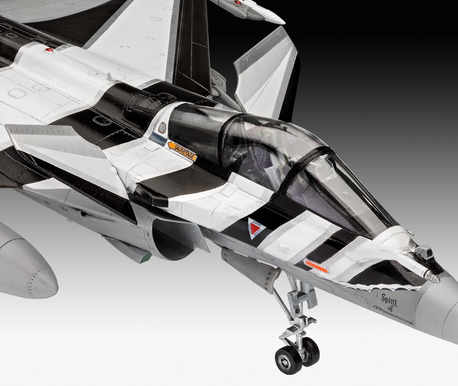 Revell Model Set 63901 Dassault Aviation Rafale C 1:48 Scale Unbuilt/Unpainted Plastic Model Kit with Accessories