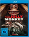 THE JOLLY MONKEY - MOTEL DES GRAUENS