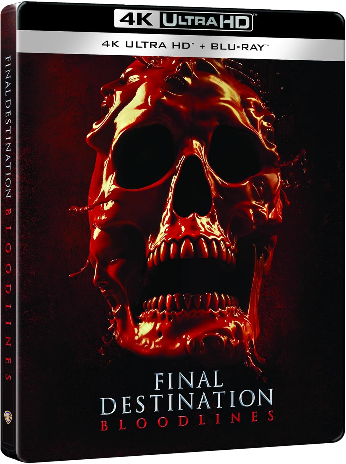 Final Destination: Bloodlines Steelbook (Alt Skull)