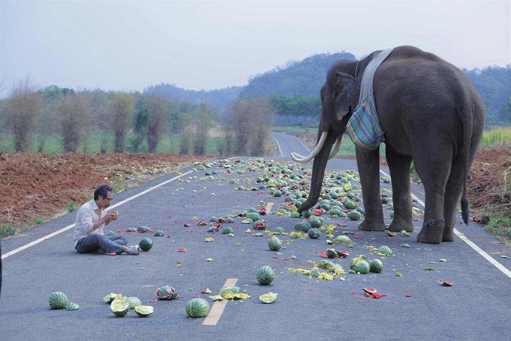 Pop Aye Vo Sous Titres Francais/Slim