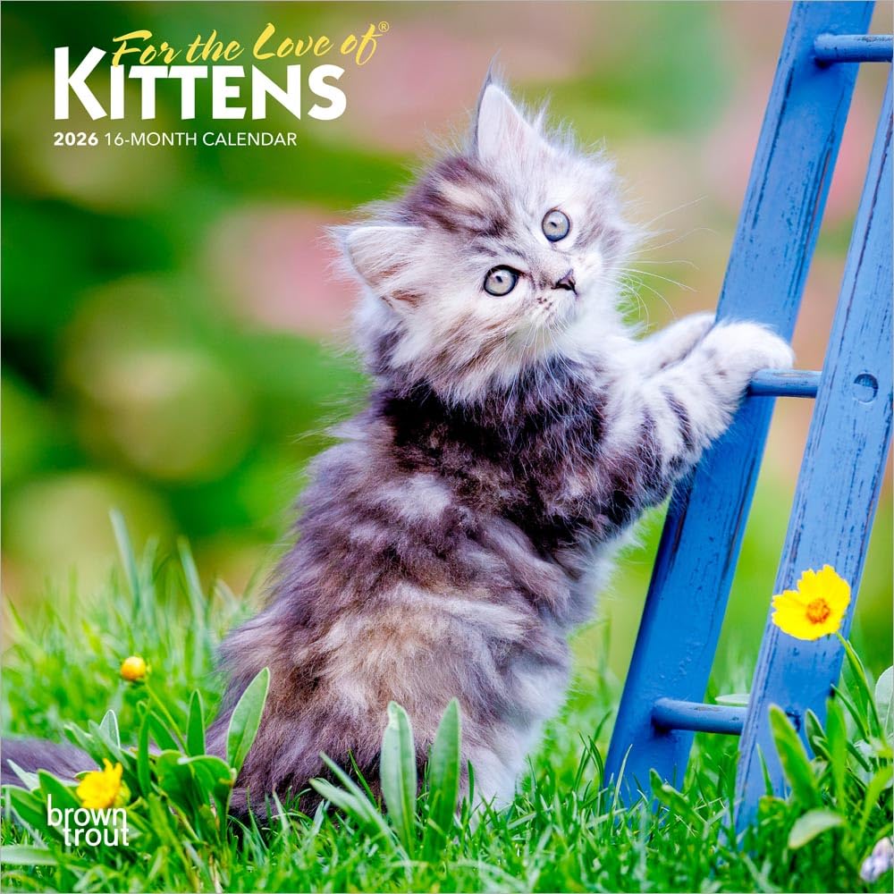 For the Love of Kittens | 2026 7 x 14 Inch (Hanging) Monthly Mini Wall Calendar | BrownTrout | Animals Cats Feline
