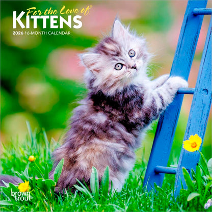 For the Love of Kittens | 2026 7 x 14 Inch (Hanging) Monthly Mini Wall Calendar | BrownTrout | Animals Cats Feline
