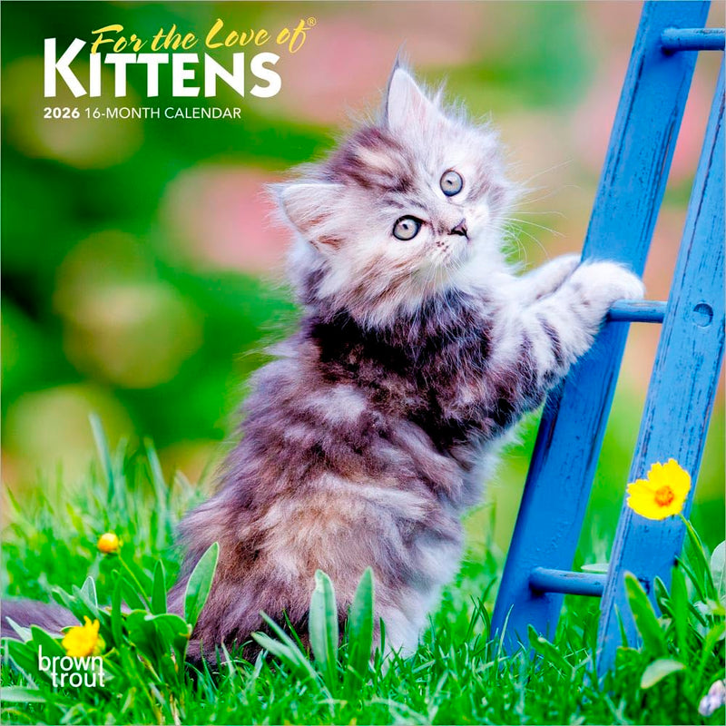 For the Love of Kittens | 2026 7 x 14 Inch (Hanging) Monthly Mini Wall Calendar | BrownTrout | Animals Cats Feline