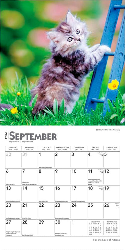 For the Love of Kittens | 2026 7 x 14 Inch (Hanging) Monthly Mini Wall Calendar | BrownTrout | Animals Cats Feline