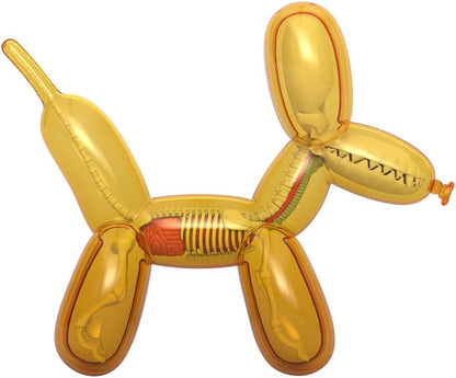 Mighty Jaxx Funny Anatomy: Balloon Dog (Colore miele) | Jason Freeny | Figura in vinile