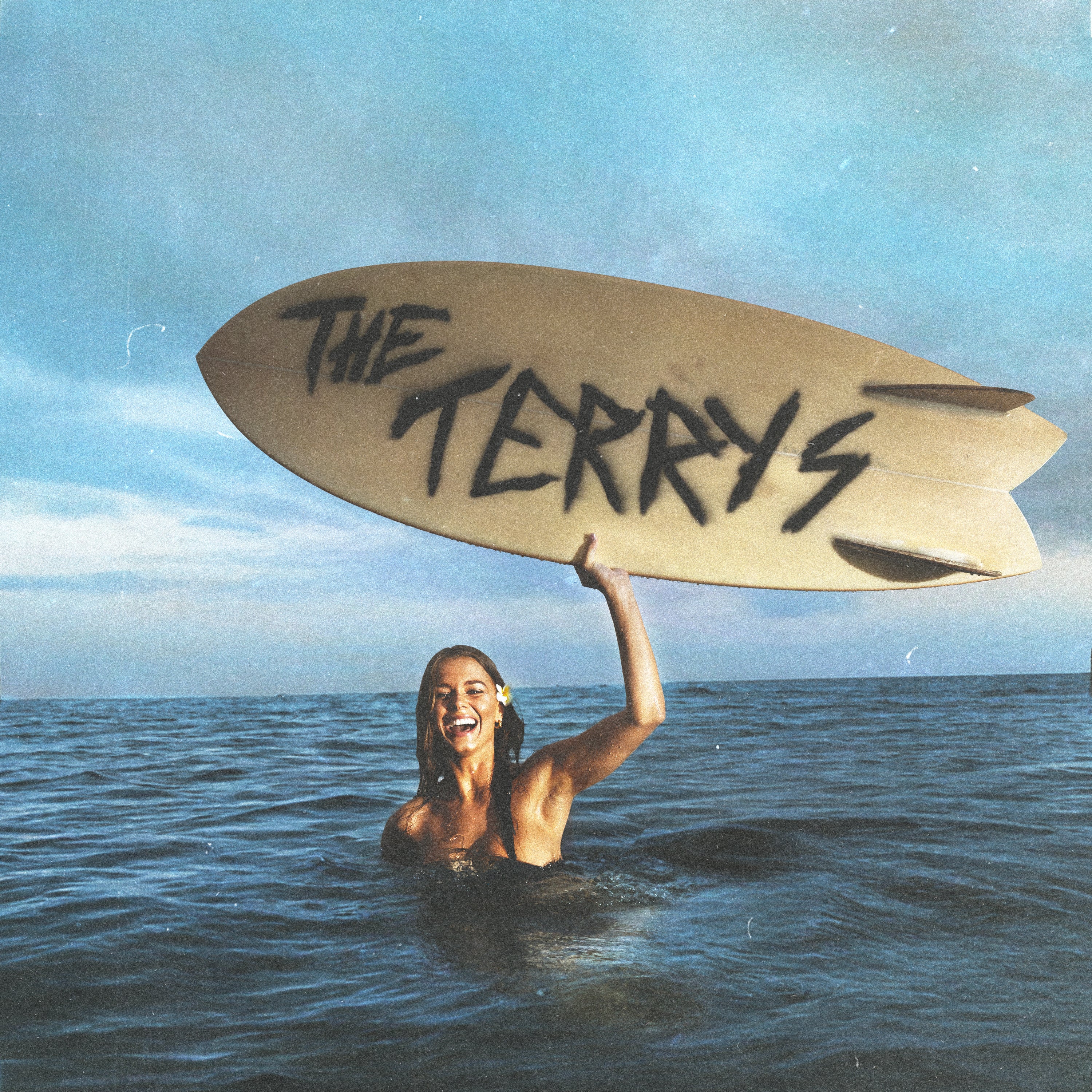The Terrys
