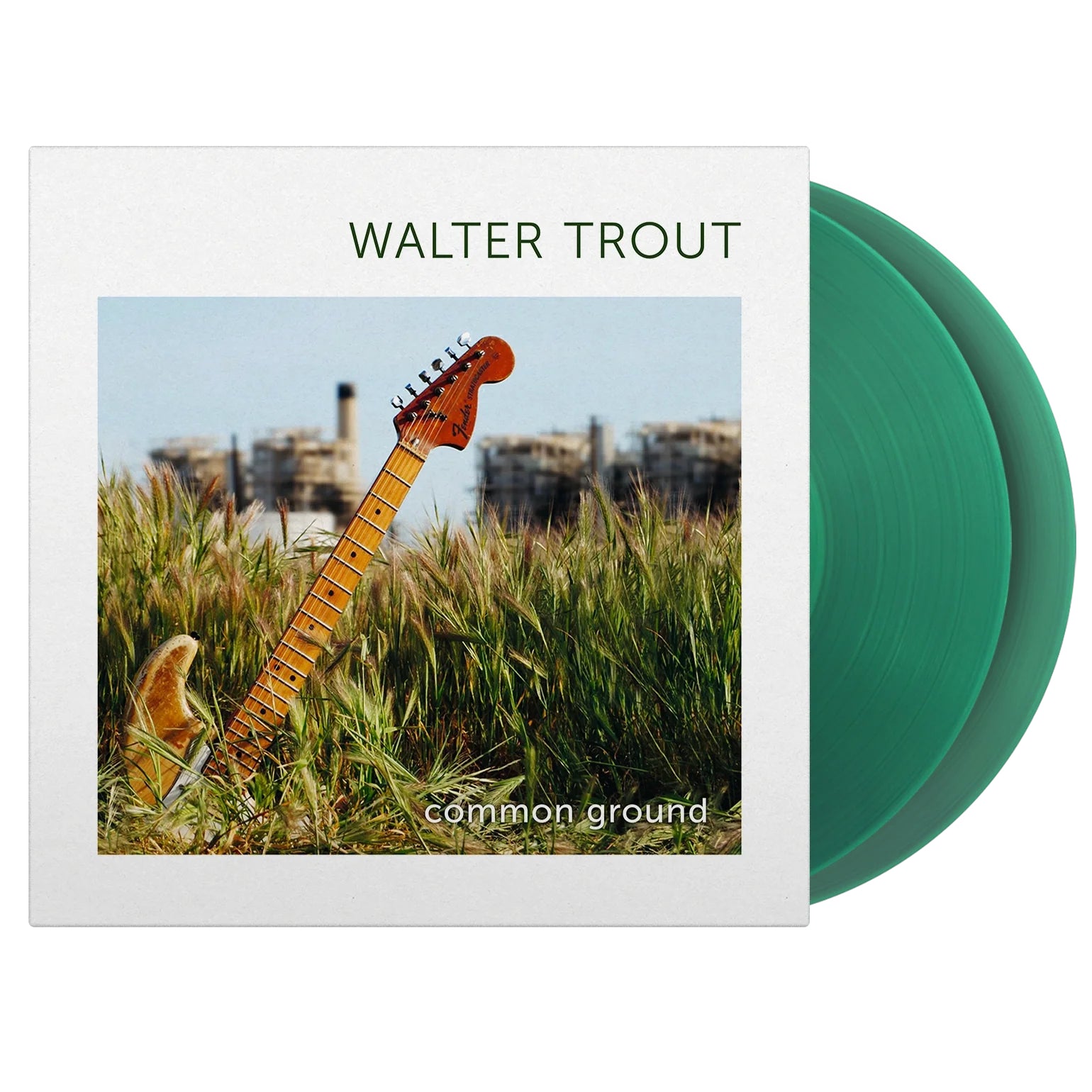 Common Ground (15th Anniversary Edition)