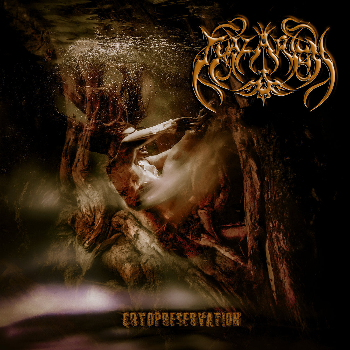 Cryopreservation