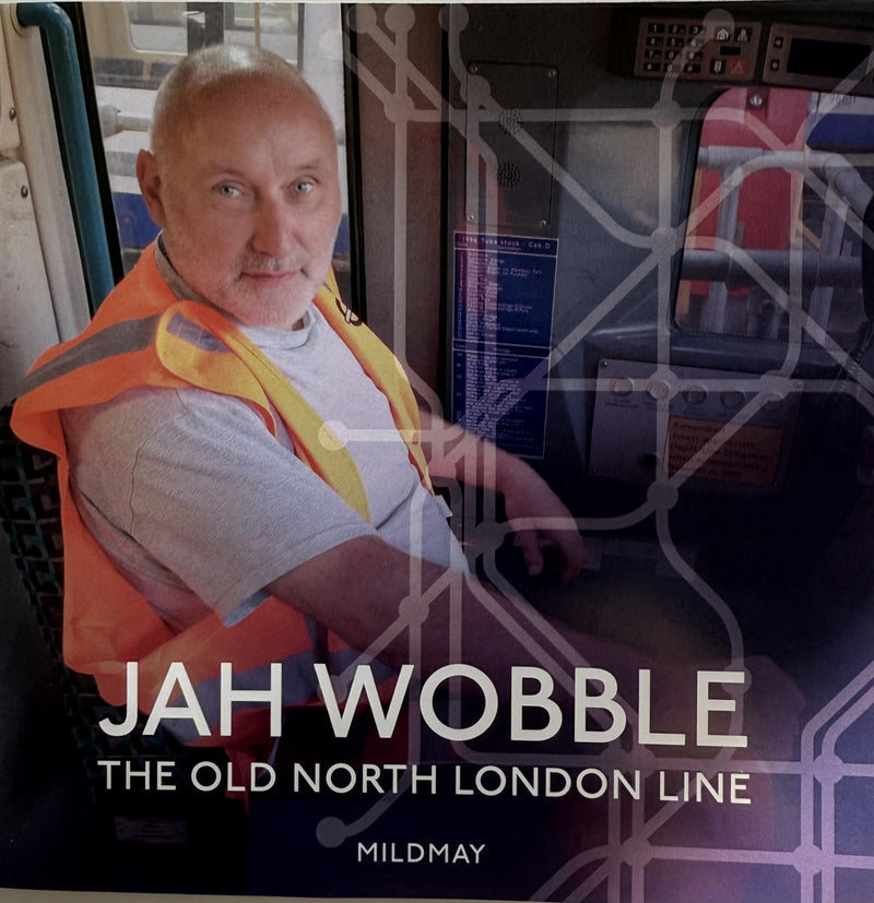 The Old North London Line (Mildmay)