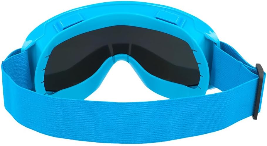 Boland- Skibrille für Kostüm und Party, stylische Brille für Festival, Karneval oder Apres Ski Mottoparty