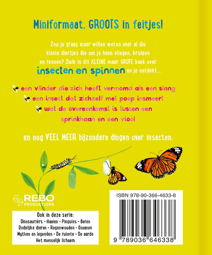 Rebo Publishers - Het Kleine Maar Grote Boek Over? Insecten Spinnen