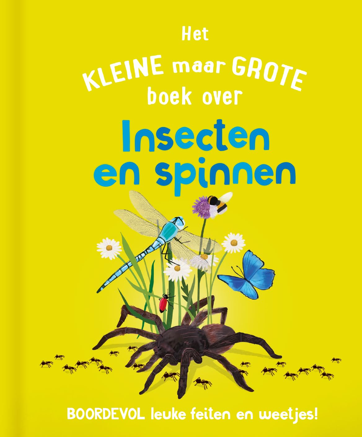 Rebo Publishers - Het Kleine Maar Grote Boek Over? Insecten Spinnen