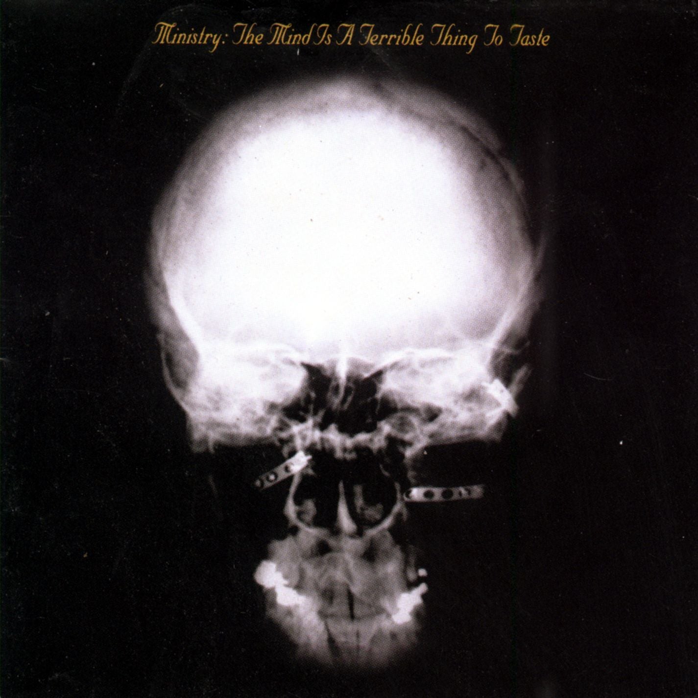 The Mind Is a Terrible Thing to Taste (Rocktober 2025)