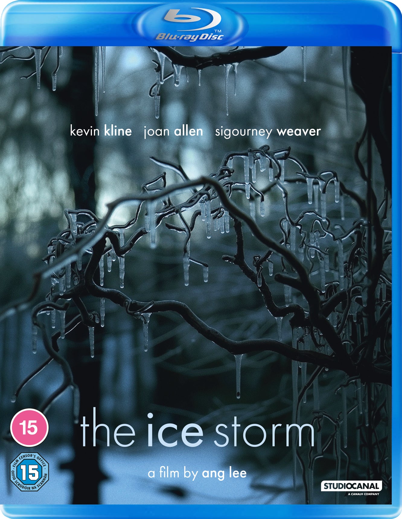 The Ice Storm