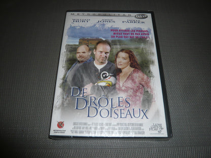 De droles d'oiseaux
