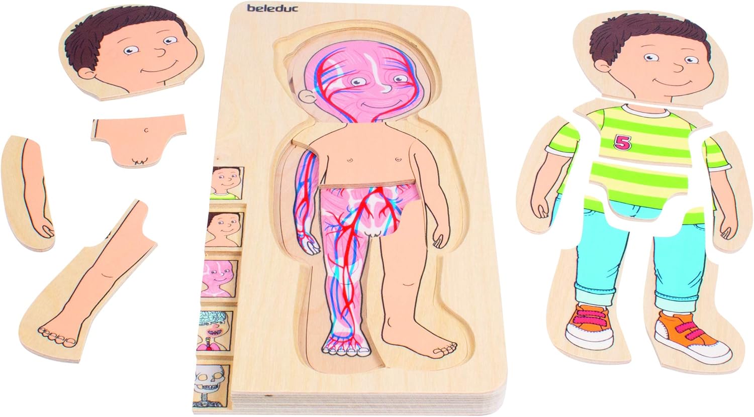 Beleduc 17170 - lagen-puzzel je lichaam jongen, extra folie met weergave van de bloedsomloop, bewezen op de kleuterschool