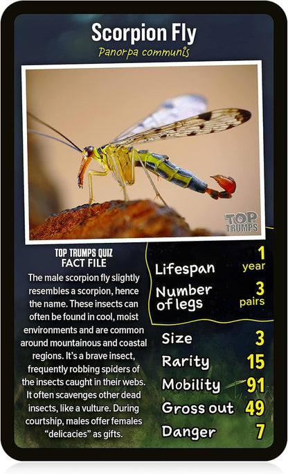 Top Trumps Creepy Crawlies - Gioco di carte, Top Trumps Jeu de cartes effrayants, Top Trumps Creepy Crawlies Kartenspiel, Top Trumps Creepy Crawlies Card Game