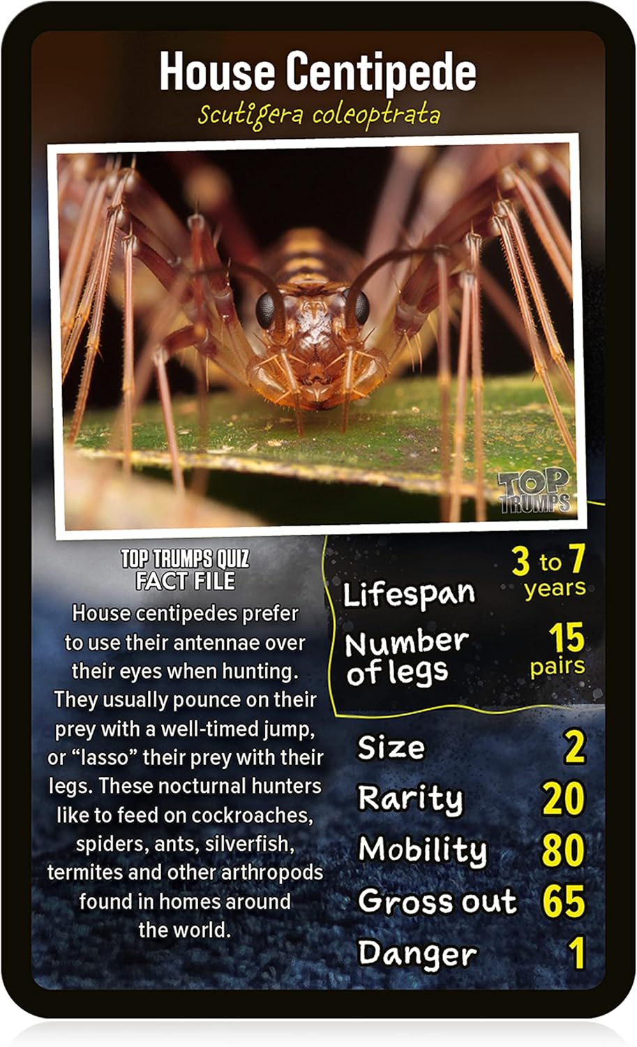 Top Trumps Creepy Crawlies - Gioco di carte, Top Trumps Jeu de cartes effrayants, Top Trumps Creepy Crawlies Kartenspiel, Top Trumps Creepy Crawlies Card Game
